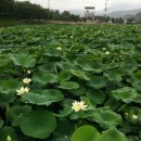 철마중리마을 이미지