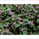 바람소리새소리 이미지