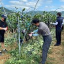 와동1리 이미지