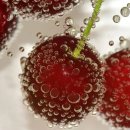 에스엠에스 이미지