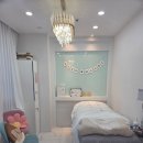 바비 애견샵 이미지