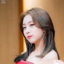 빨간여우 이미지