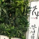 아낙 잠원점