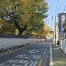 수로왕비릉 공중화장실 | 김해 단풍 명소 김해수로왕릉 주차 주변 카페 아이와 방문후기