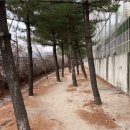 한천가로공원 이미지