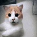 헤어뿜뿜 이미지