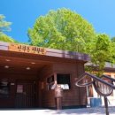 영월화석박물관 이미지