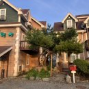 꽃지어울 이미지