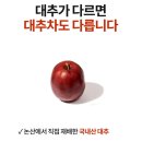 커피 대신 홍밀원 대추차