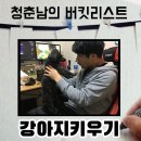 금순이농장 이미지