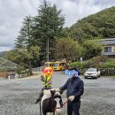 일광비스타동원1차어린이집 | 일광 비스타동원1차 어린이집 승마체험