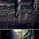 쇼핑몰오픈마켓(심화) 이미지