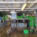 두성농장 | 호주 워킹홀리데이 최악의 경험 중국계 랍스터 공장 &#39;Blu wave&#39; 리얼 후기