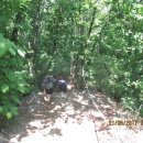 매산목장 이미지