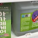 션샤인스팀