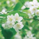 햇살마루 이미지