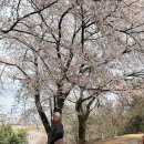 사이동 본오1차아파트 이미지