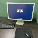 범 아쿠아 | 레고다육이장미/아프리카왕달팽이/빈티지편집샵/아쿠아디파르마디퓨저/오니츠카타이거맥시코66/용용선생...