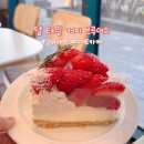 스윗테일 | 남위례역 카페 텔 테일 커피 브루어스 방문 후기(주차, 가격, 수제 케이크)