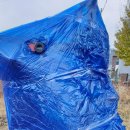 애니카랜드 음성점 이미지