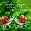 오늘도 예쁜 하루