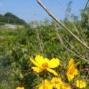 다정주유소 이미지