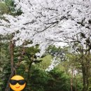 주교동 (원당지하차도) 이미지