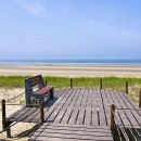 더(The)라온 이미지