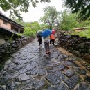 모심정민박 이미지