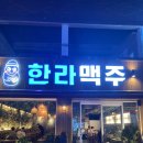 하단동143 | 하단 동아대 술집 추천 / 제주도 느낌 물씬 나는 한라맥주 🧡 내돈내산 후기