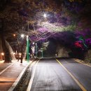 우암산순환로 이미지