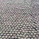 성혁농장 이미지