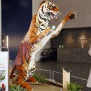 갤러리아 광교 이미지