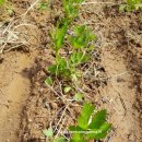 오곡2농장 이미지