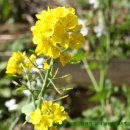 씨앗농부 이미지