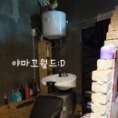 헤어바이지현 - 목포시 당가두로 18-1 | 헤어바이지현