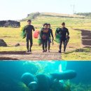 백년손님 이미지