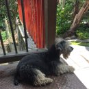 코코농장 1 이미지