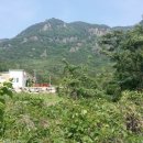 참조은부동산중개사무소 이미지