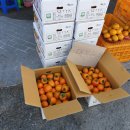 삼가시장화장실 이미지