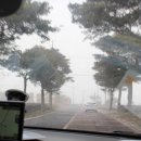 고래김밥 이미지