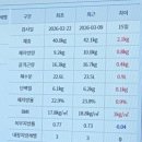 양이멍이 | 허벅지 지방분해주사 멍 붓기 성분 파악하는 2회차 후기