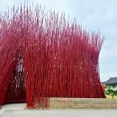 와이쉼표 이미지