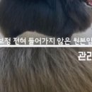 우주개스타 이미지