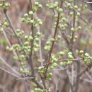 하나린유치원 이미지