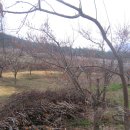 당곡농장 이미지