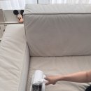 침구 전용 청소기 사용후기, 에피카 UV 무선 침구청소기