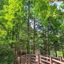 대석낚시터(대석저수지) | 0611-12 경북 안동 여행