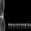 대한스포츠재활운동센터