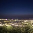 유자향기2 이미지